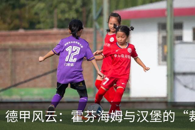 德甲风云：霍芬海姆与汉堡的“裁判时代”！